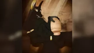Anubis Jar Fuck