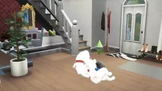 Raven and her dog