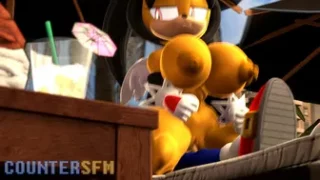 Honey Bouncing [CounterSFM]