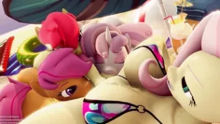 Cuties Suckers Crusaders [blackjr]