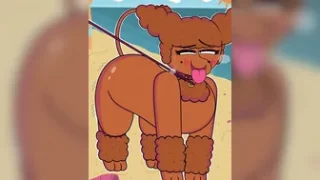 Bow wow beach