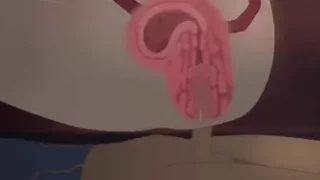 Kamuo Compilation 1