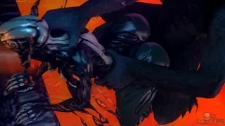 Celloframe (Warframe PMV)