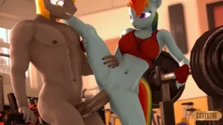 Rainbow Dash Fucked By Royal Guard [Certedia][4K]