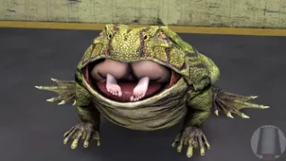 Feed the Frog