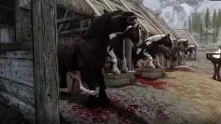 Horse Breeding