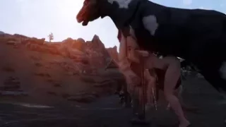 Left to the Horses