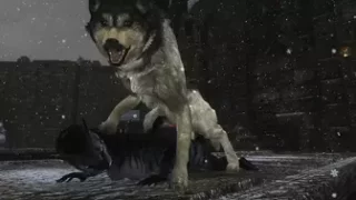 Two Khajiit Ratfucked in Temple