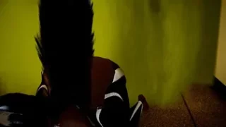 Oh Skunkchan... [ElSharkoDiablo]