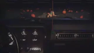 Pumpkin field - Wildeerstudio