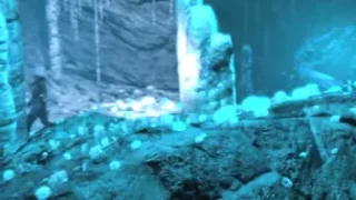 Queen Nualia Fucked by Cave Beast - Noname55