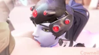 Widow Tracer Muff Diving - Cawneil