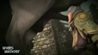 Horse video 8