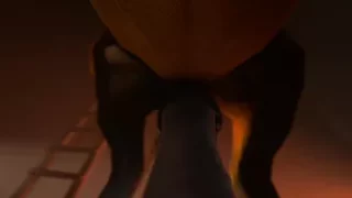 Horse vídeo 15