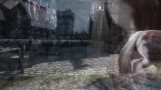 Horse vídeo 11