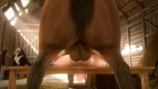 Horse vídeo 9