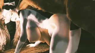 Horse video 28