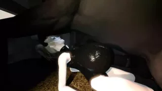 Horse video 84 - Harley fuck boobs
