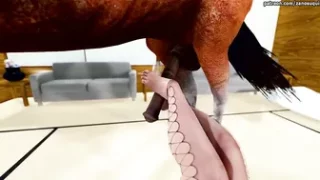 Horse video 75