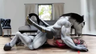 Horse video 119