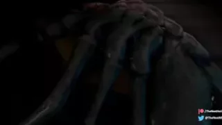 Facehuggers - The Nest