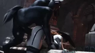 Horse vídeo - 195