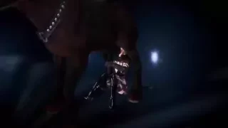 Taming Shadowmere
