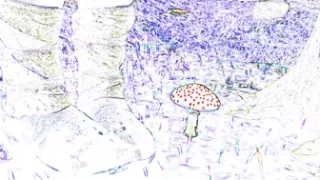Fairy Transformation