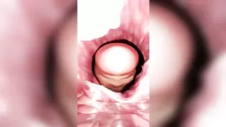 Inside Creampie