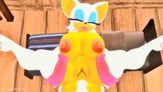 Tails and Rouge [leviantan581re]