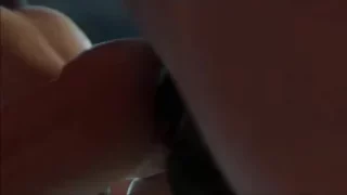 Horse Compilation