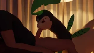 Nicobay suck