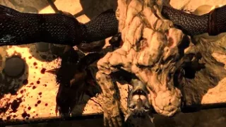 Khajiit Sacrificed To The Daedra