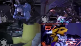 HMV-Choatic (furry compilation)