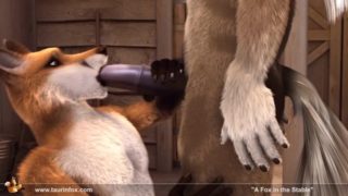 Fox In The Stable [taurin fox]