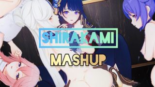 Shirakami Mashup