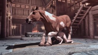 Fucking the stallion