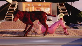 Dog Mates With A Girl