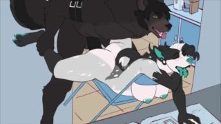 Brolaren Furry HMV