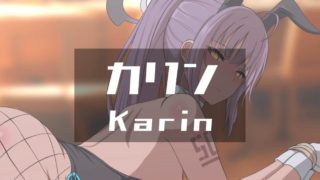 Karin v3 EX [Ginhaha]